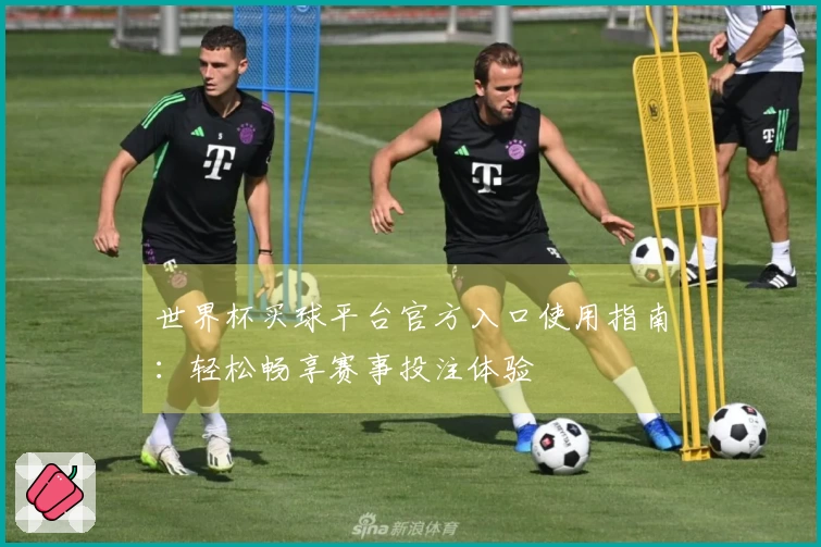 世界杯买球平台官方入口使用指南：轻松畅享赛事投注体验