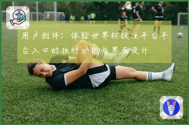 用户测评：体验世界杯投注平台平台入口的独特功能与界面设计