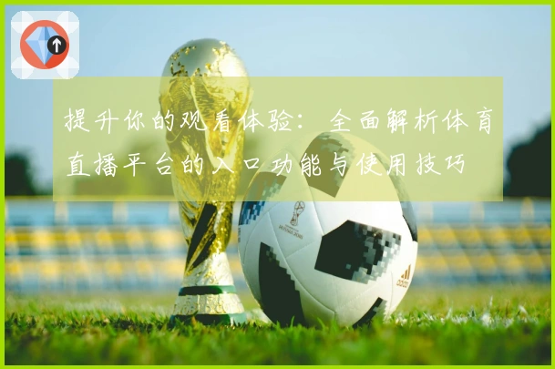 提升你的观看体验：全面解析体育直播平台的入口功能与使用技巧