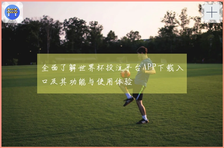 全面了解世界杯投注平台APP下载入口及其功能与使用体验