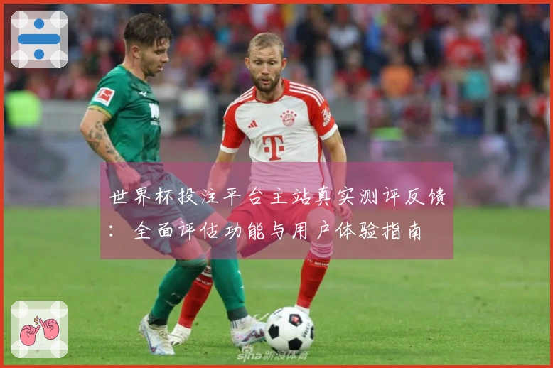 世界杯投注平台主站真实测评反馈：全面评估功能与用户体验指南