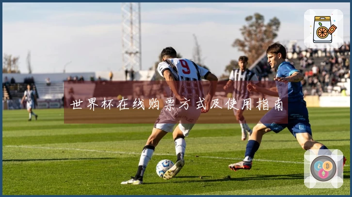 世界杯在线购票方式及使用指南