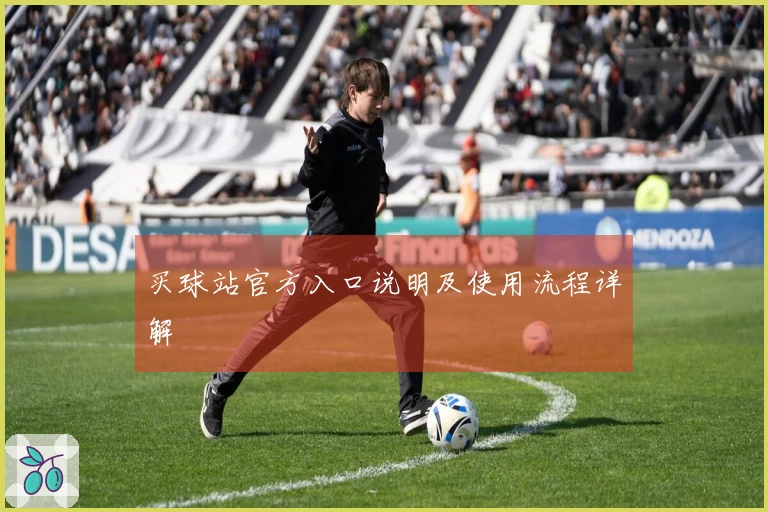 买球站官方入口说明及使用流程详解