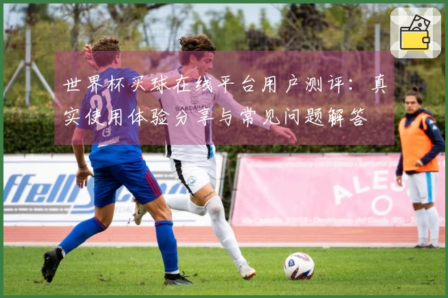 世界杯买球在线平台用户测评：真实使用体验分享与常见问题解答