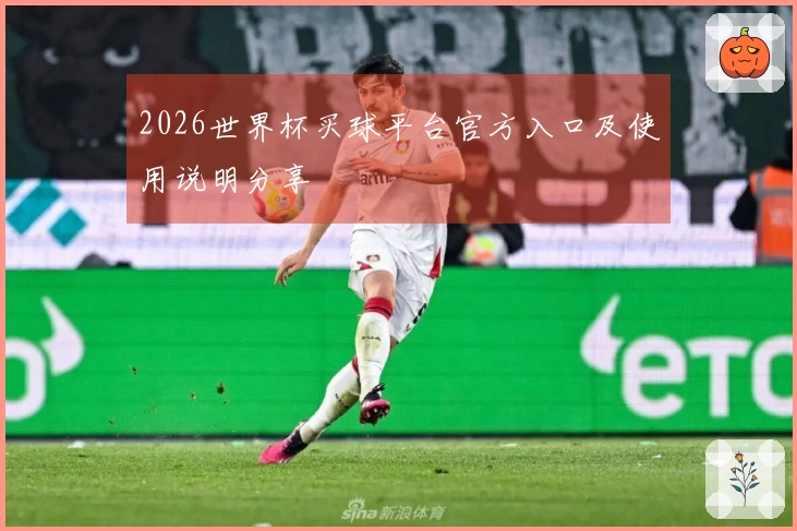 2026世界杯买球平台官方入口及使用说明分享