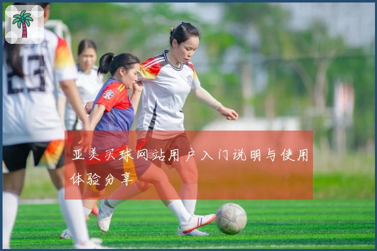 亚美买球网站用户入门说明与使用体验分享