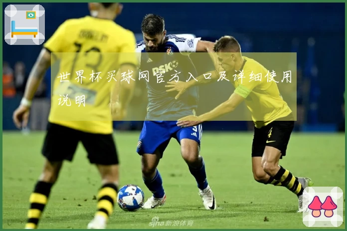 世界杯买球网官方入口及详细使用说明