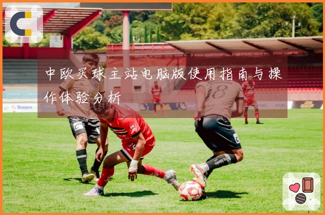 中欧买球主站电脑版使用指南与操作体验分析
